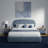 Devotia Queen Modern Upholstered Platform Bed With Curved Headboard, Hydraulic Lift Storage Bed-1085745282-1085745340