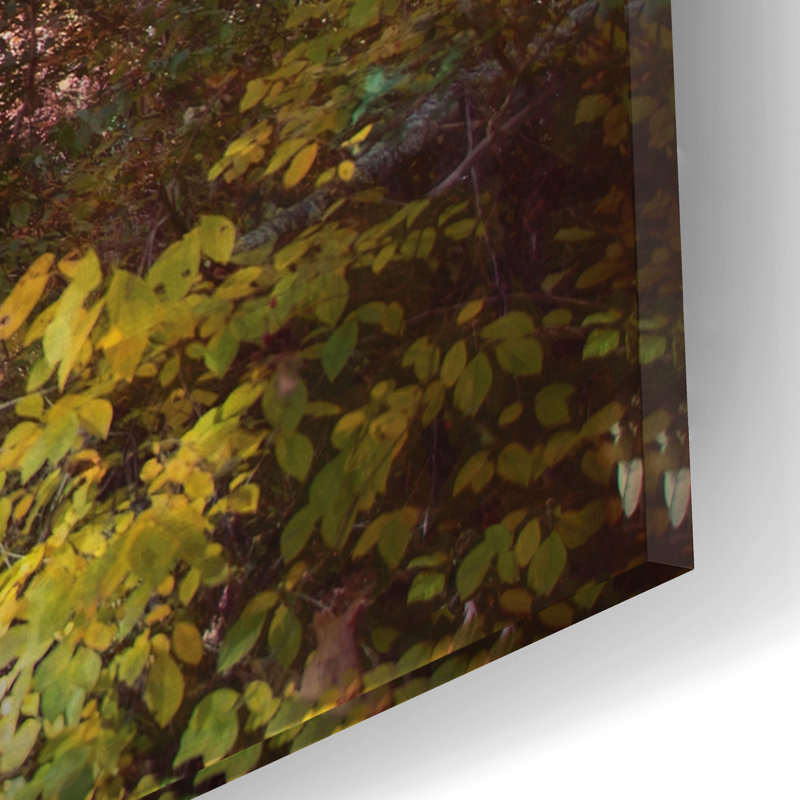 «Berlin Park» par John Rivera, art mural en verre acrylique, H 12 po x l 16 po x P 0,13 po