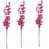 Rose est en rupture de stock