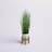 Faux Onion Grass Grass in Ceramic Pot-1470934462