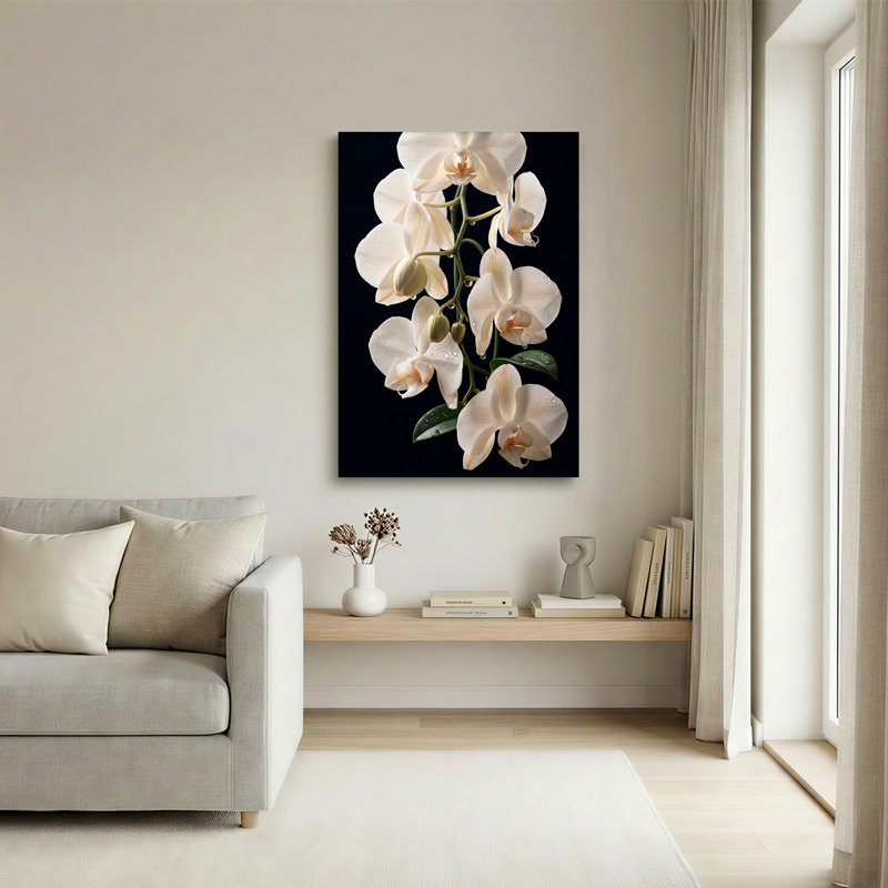 Orchidée blanche en fleurs avec gouttelettes d'eau sur toile noire, H 18 po x l 12 po