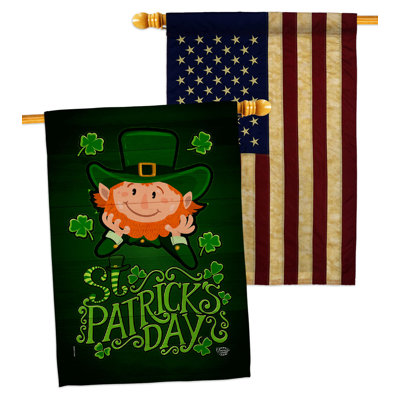 Drapeau de maison 3 pi 3 po x 2 pi 3 pi Lucky Leprechaun