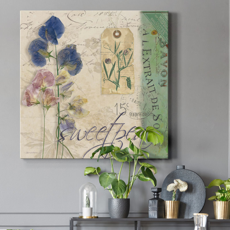 Sweet Pea - reproduction d'art sur toile tendue, H 24 po x l 24 po x P 1 po