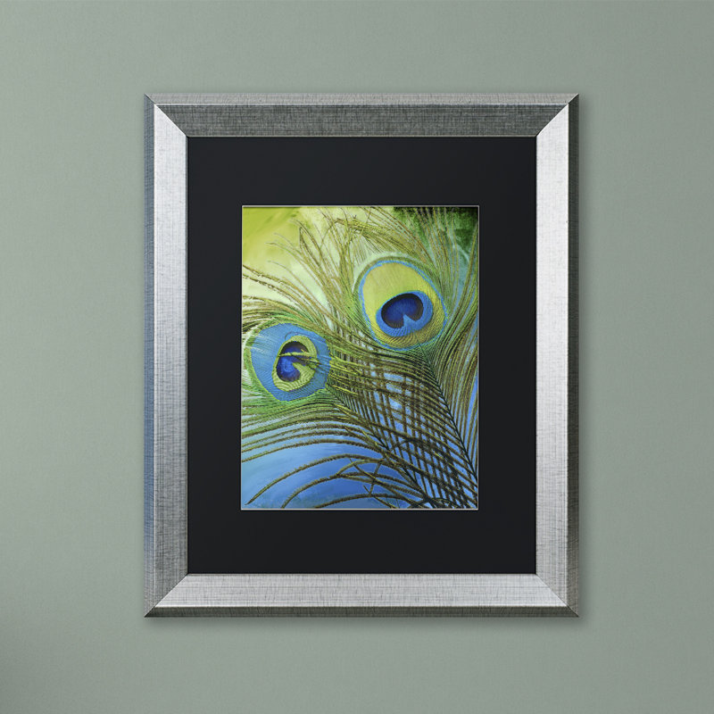 «Peacock Candy I» par Jadaya, impression encadrée, H 14 po x l 11 po x P 0,5 po, Noir, Toile avec cadre noir
