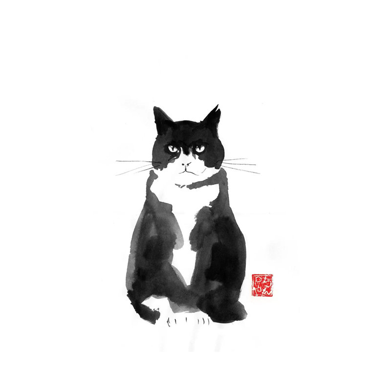 «Grumpy Cat» par Péchane - impression d'art graphique, Toile tendue, H 12 po x l 8 po x P 0,75 po
