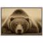 «Sleeping Brown Bear», reproduction d'art sur toile encadrée, sépia-120419606-120419610