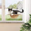 Lit pour perchoir pour chat, lit pour chat avec ventouses robustes