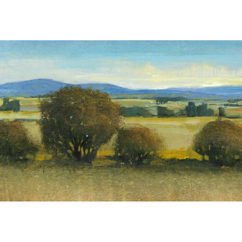 Verdant Meadow II by Tim OToole - Wrapped Canvas Print, 30cm H x 46cm W x 3.8cm D