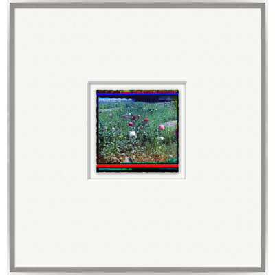 «Solarized Color Photos», photographie encadrée de 14 pi