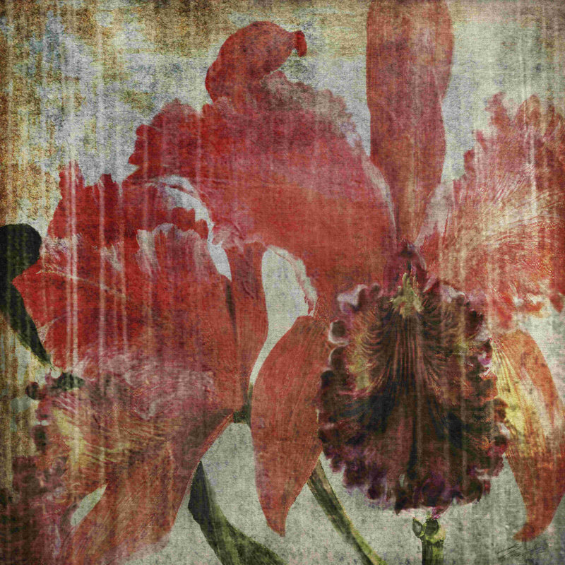 Pacific Orchid I, H 36 po x l 36 po