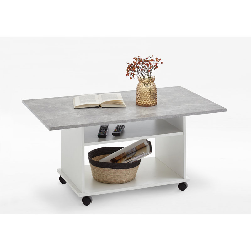 Alessandra Solid Coffee Table with Storage, Grey/White
