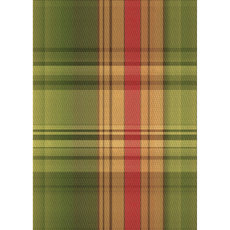 Plaid Indoor Rug, Rectangle 2' x 3'