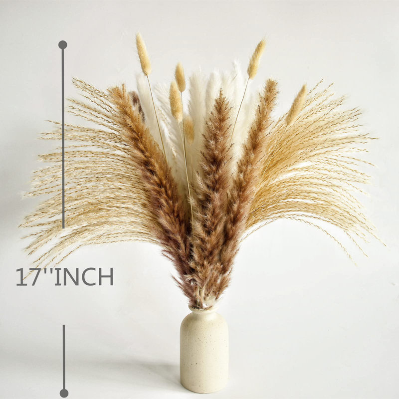 17'' Pampas Grass Plant