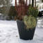Pot à fleurs intérieur / extérieur auto-arrosant-20262645-17049372