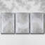 Ensemble de 3 pièces encadrées sur toile Snowdrift I-97711143-97711142