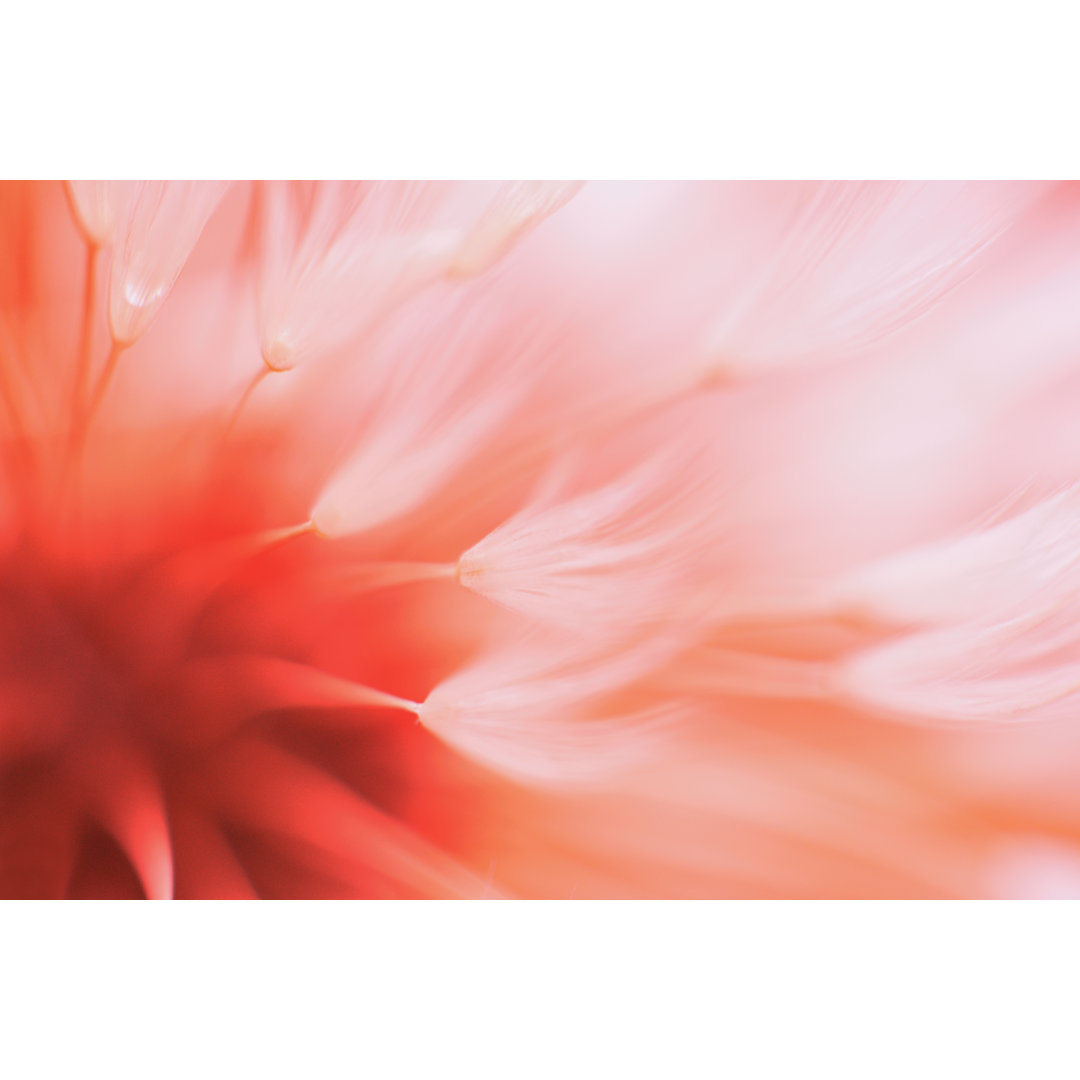 Abstract Flower by Tunatura - Wrapped Canvas Print