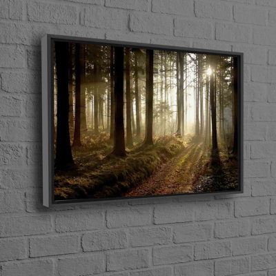 Forest Path At Sunset Canvas Wall Art - Ideal Gift For Her Featuring The Beauty Of Nature On A Printed Canvas Poster