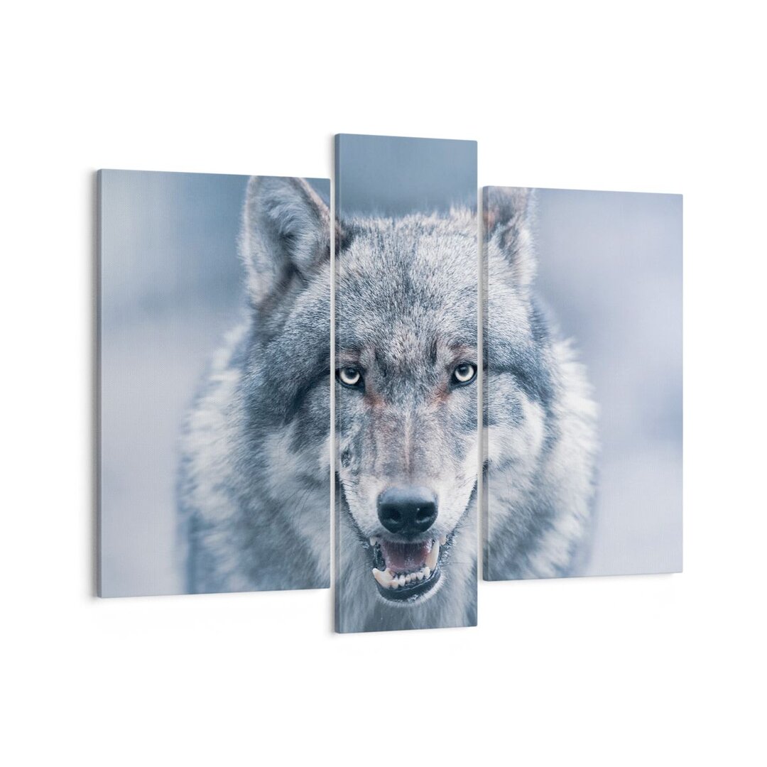 3-tlg. Leinwandbilder-Set Wolf Predator Wildness