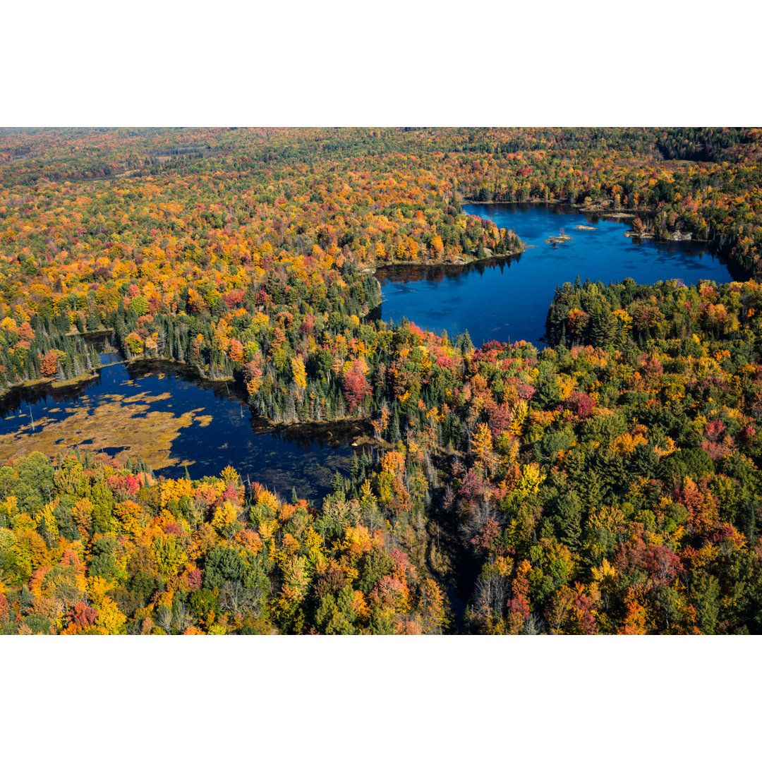 Luftaufnahme des kanadischen Nationalparks im Herbst von Leopatrizi - Drucken