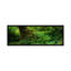 «Hoh Rainforest, Olympic National Forest, Washington», reproduction de photo sur toile-19981092-71997066