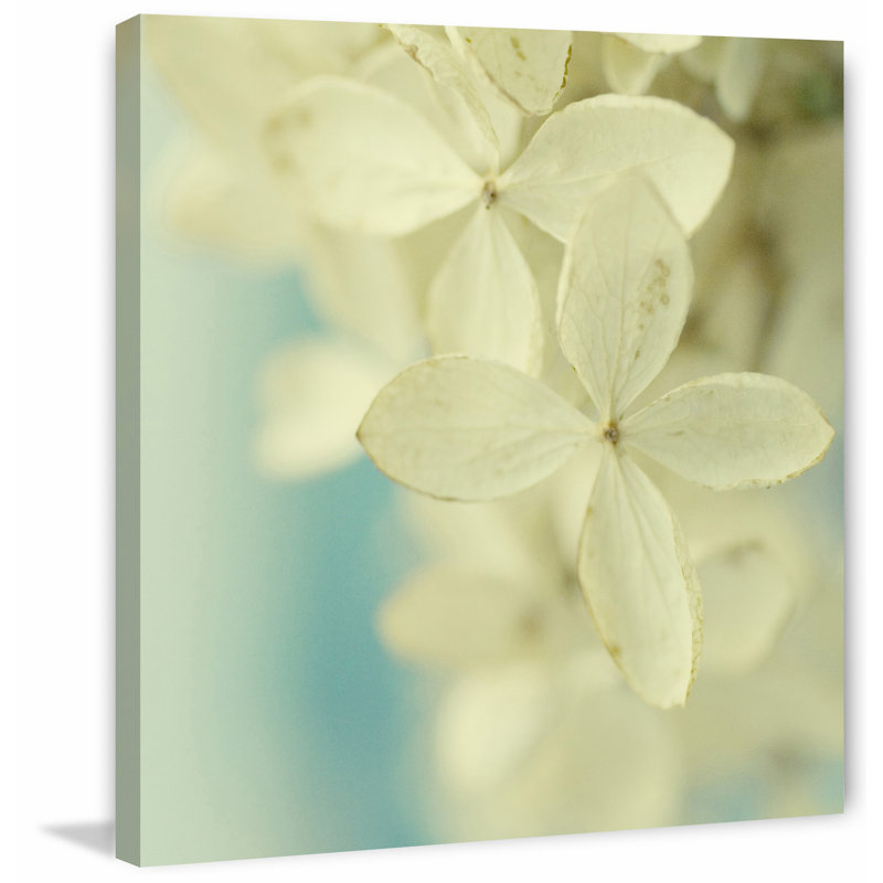 Judy Stalus - Wrapped Canvas Print, 122cm H x 122cm W x 3.81cm D