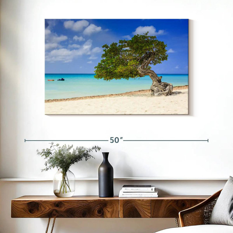 Aruba Gillard Divi Divi Tree, 26" H x 39" W
