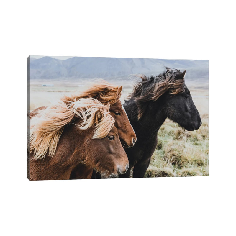 Eastern Region, Iceland I by Luke Anthony Gramme - Wrapped Canvas Print, 20.32 cm H x 30.48 cm W