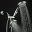 Pomme de douche Designer Deluxe