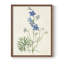 Fleurs des saisons II, reproduction encadrée - bois massif-1227647337-1227647338