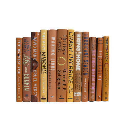 Livres décoratifs - Ensemble de livres pour jaquette d'agrumes - 1 pied de livres orange