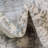 Malynn Oriental Area Rug-540162555-548657428