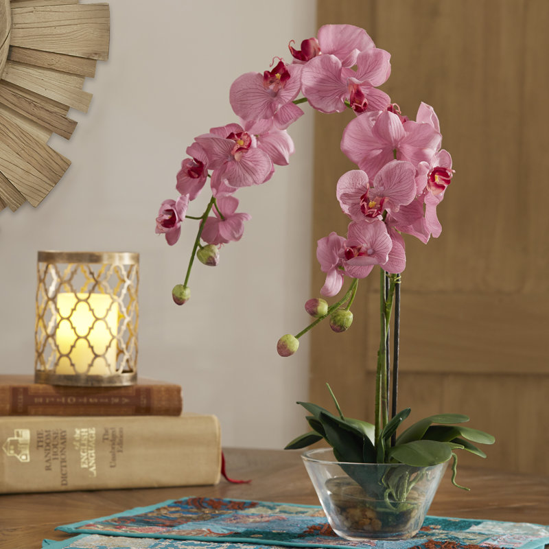 Arrangement floral orchidées dans un vase