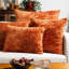 Orange Cushion-133726644-133726645