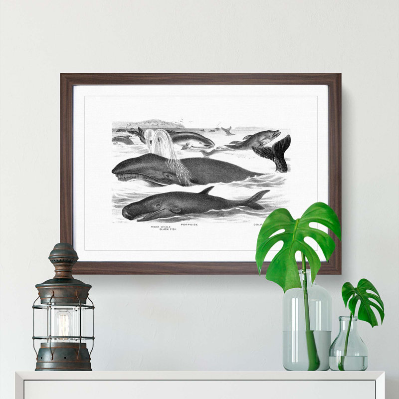 Whales & Dolphins by John Karst - Picture Frame Painting Print, Walnut Framed, 27cm H x 36cm W x 2cm D