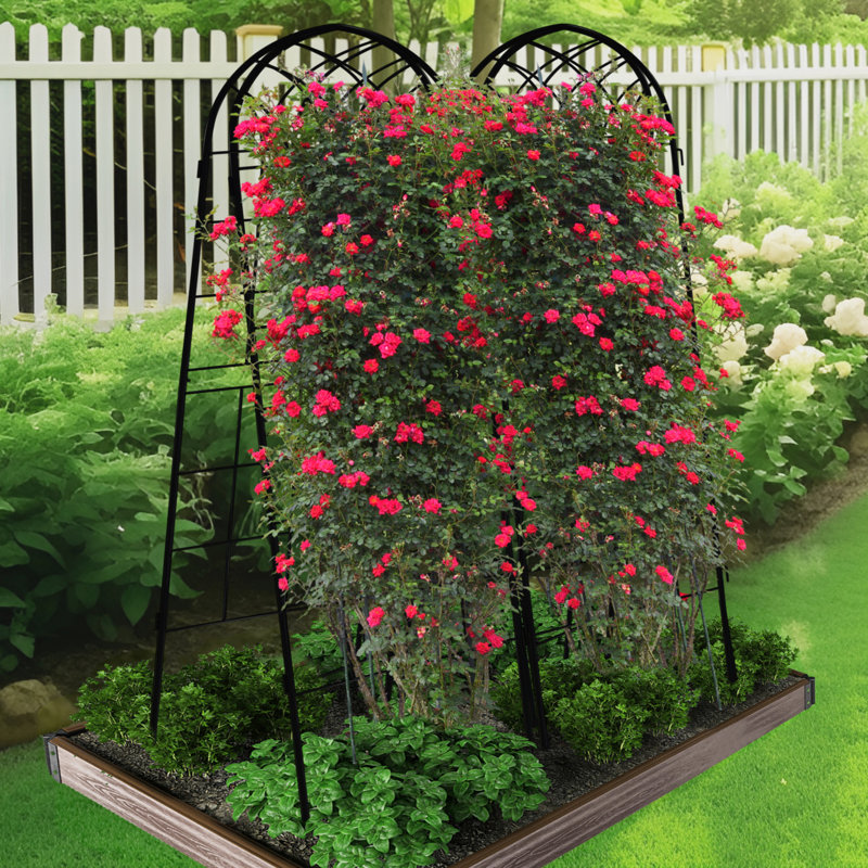 Treillis de jardin pour supporter les plantes grimpantes, utilisation à l'extérieur, H 71 po x l 40 po x P 0,1 po