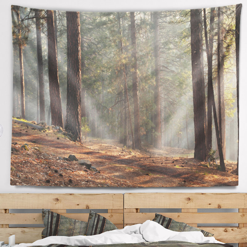 Tapisserie «Rays of Sun in Dense Forest», H 50 po x l 60 po