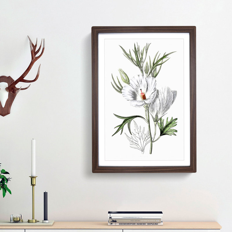 White Hibiscus Flowers - Framed Print, 36cm H x 27cm W x 2cm D, Walnut Framed