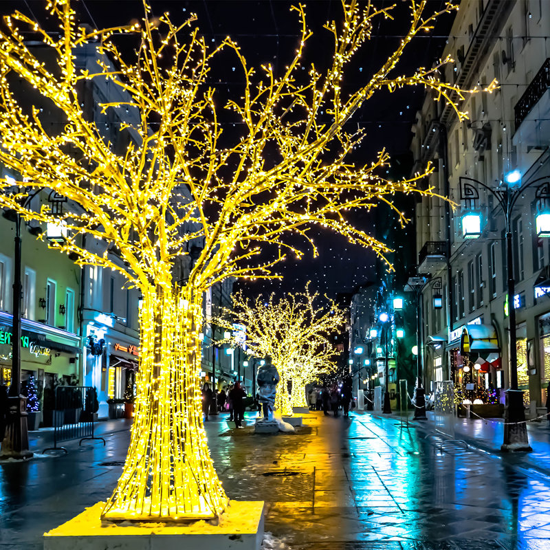 Guirlande lumineuse féerique à DEL 98 pi, Blanc