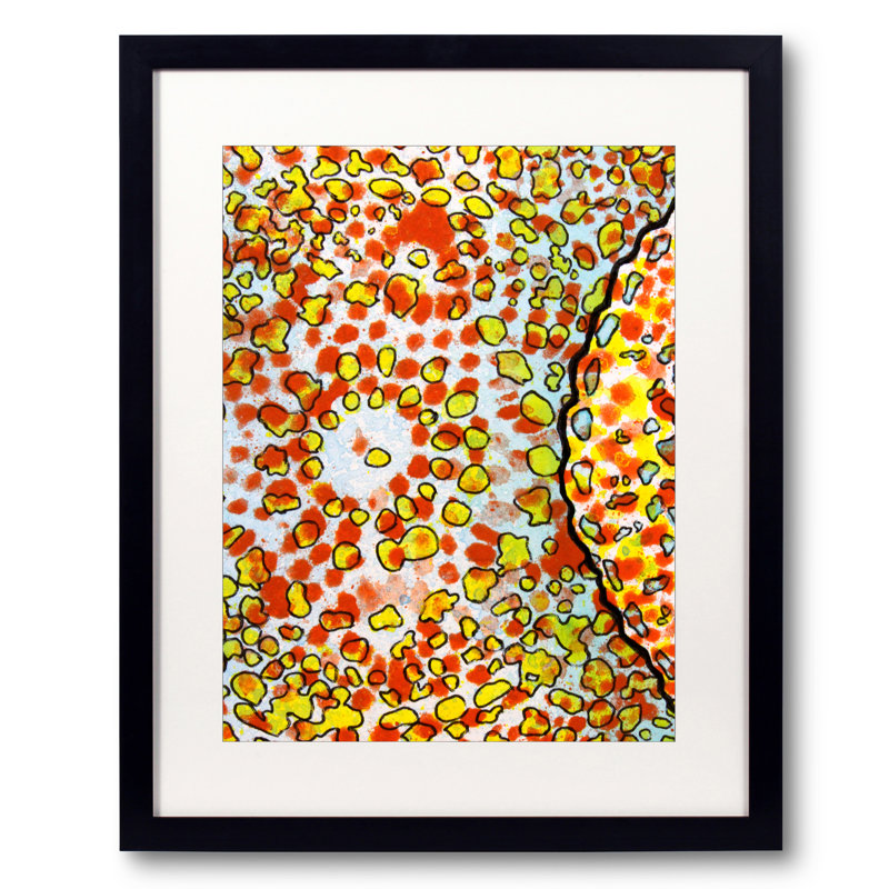 2, Inset D Print by Katie Schutte, 20" W x 16" H