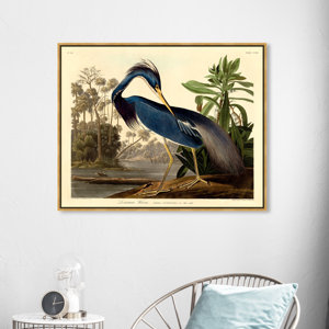 Louisiana Heron - Graphic Art on Canvas