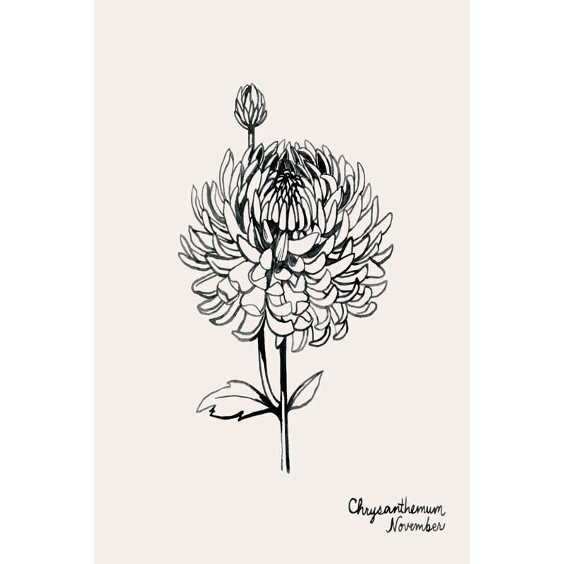 Annual Flowers XI by Grace Popp - Drawing, 30 cm H x 20 cm W, Black Floater Framed
