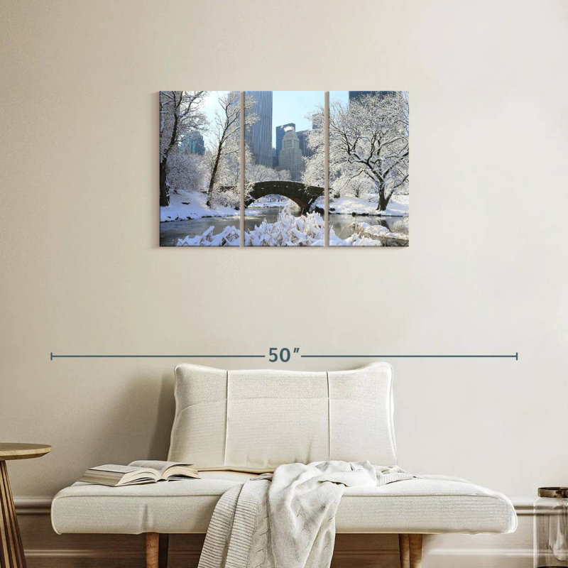 Sebbie Snowy Central Park, NY, H 20 po x l 33 po