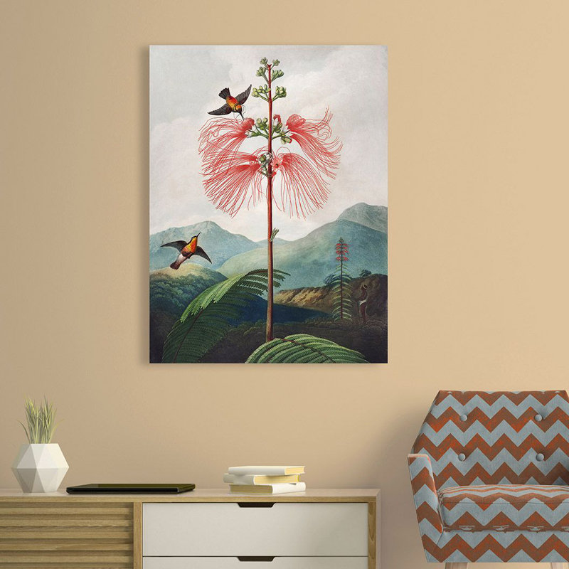 Sensitive Plant From The Temple Of Flora - Wrapped Canvas Art Prints, 80cm H x 60cm W x 4cm D