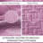Floral Embossed Quilt Set-125093300-125093302