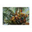 « los cocos », reproduction de peinture à l’acrylique sur toile tendue-33522913