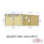 10 ft x 10 ft Pent Security Shed