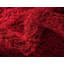 Tapis rouge sang Baynes-130905033-26309319