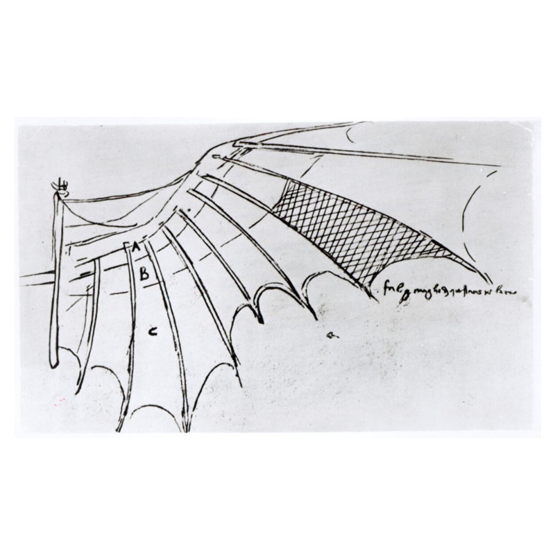 Détail d'une aile mécanique de fol. «74r Manuscrit B 2173» par Leonardo Da Vinci - Estampe numérique, H 32 po x l 40 po