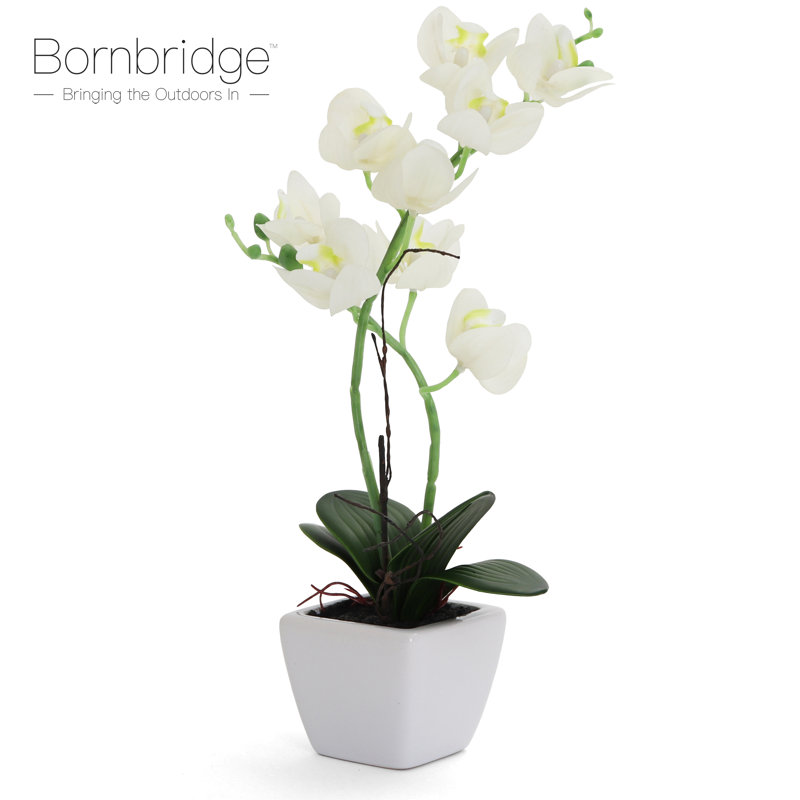 14 " Faux Silk Orchid Arrangement, White