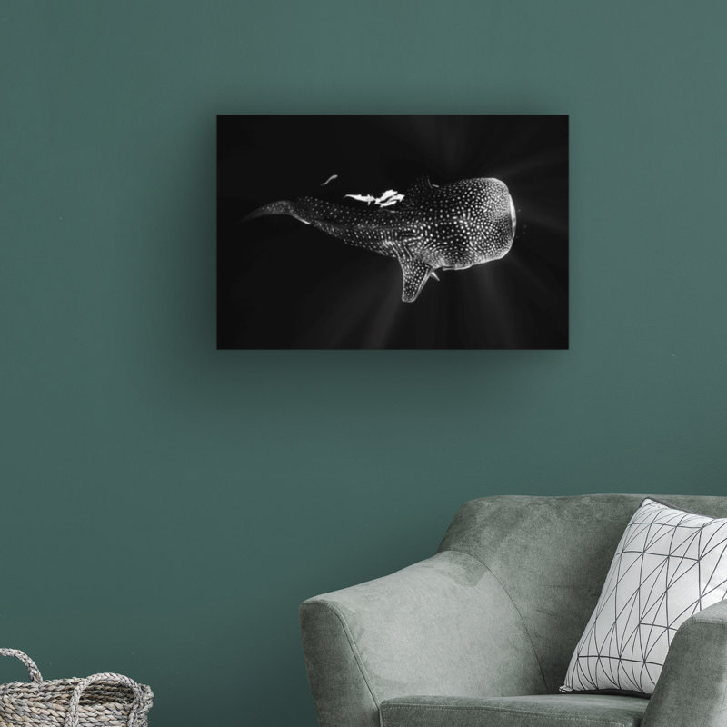 " Black And Whale Shark " by Barathieu Gabriel, 22" H x 32" W x 2" D